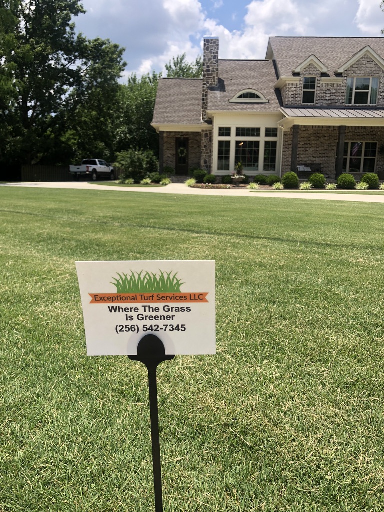 Exceptional Turf Services — Feeding Roots for a Lawn That Holds Up