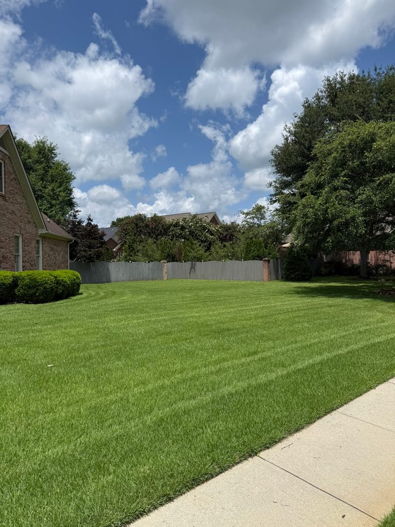 Exceptional Turf Services work photo 3