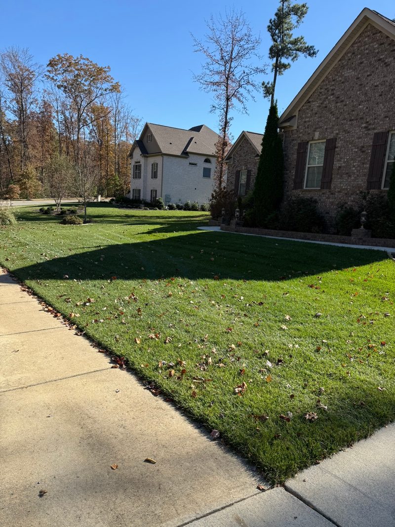 Exceptional Turf Services — Leveling Your Lawn From the Ground Up