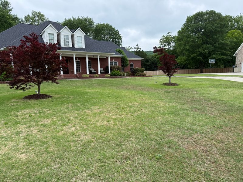 Exceptional Turf Services — Thicker Turf, Fewer Bare Spots
