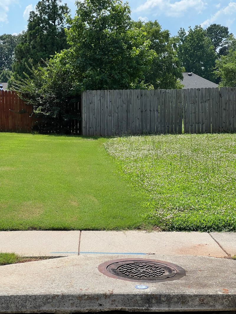 Exceptional Turf Services — Had a Good Experience?